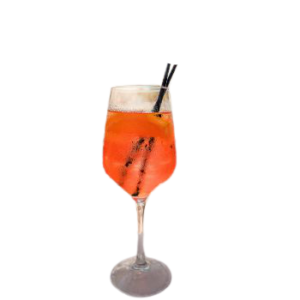 Cranberry Orange Aperol Spritz drink